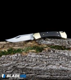 Buck Knives Buck 110 Manual Folding Knife Black Ebony (3.75" Satin) 0110BRS -Buck Knives Buck 110 Ebony Manual Folding Knife Satin 0110BRS BHQ 2657 kp log web