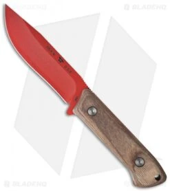 Buck Knives Buck Compadre Camp Knife Walnut Dymondwood (4.5" Red) 0104WAS